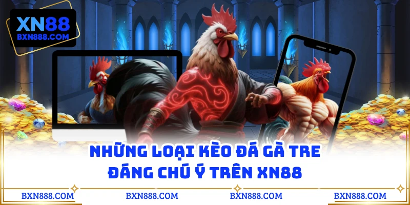 Những loại kèo đá gà tre đáng chú ý trên XN88